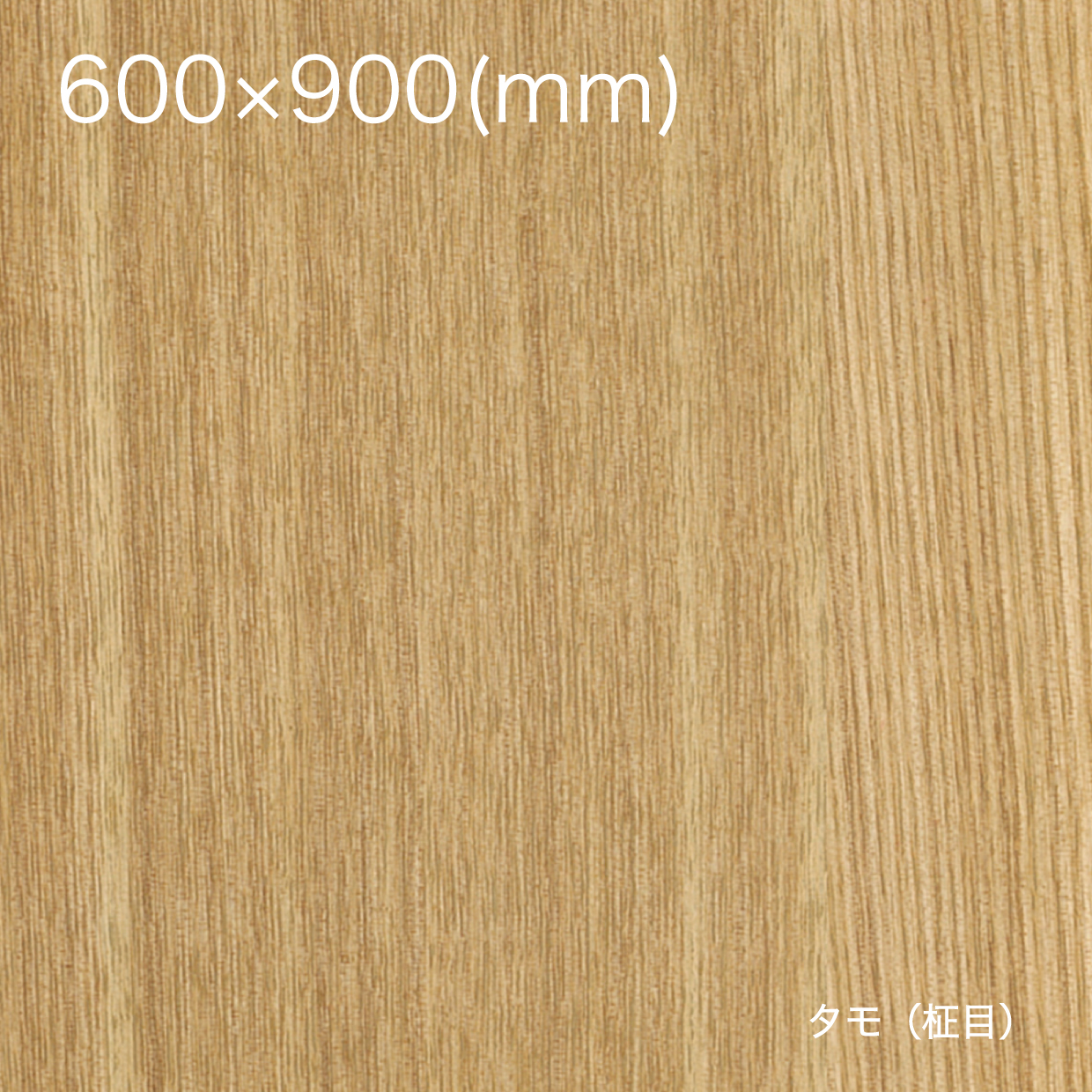 天然木の粘着シート【全景】600×900_タモ（柾目）