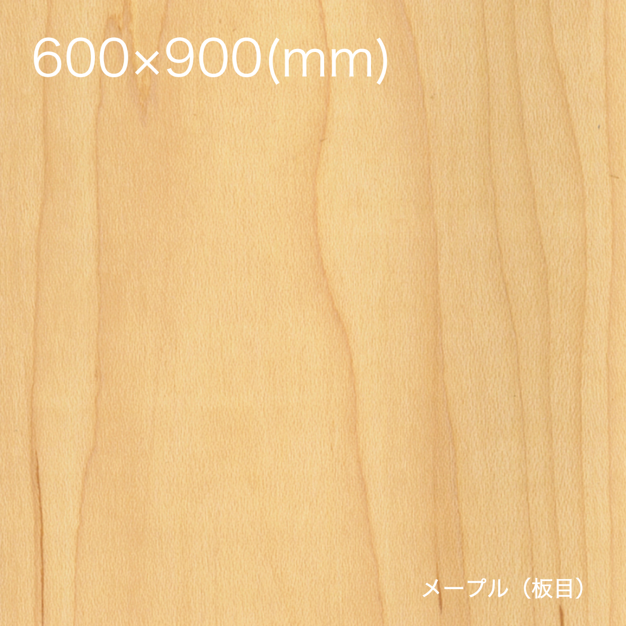 天然木の粘着シート【全景】600×900_メープル（板目）