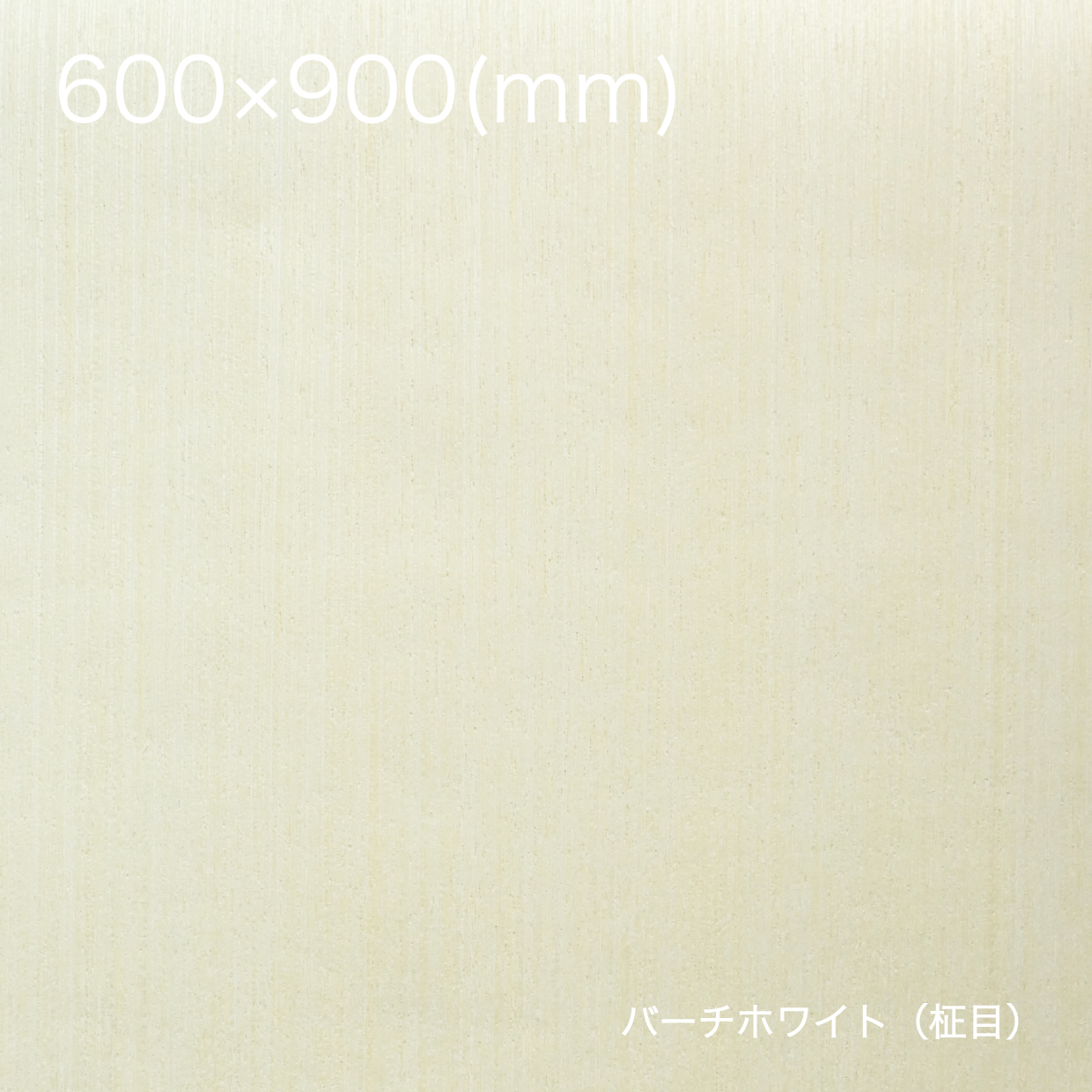天然木の粘着シート【全景】600×900_バーチホワイト（柾目）