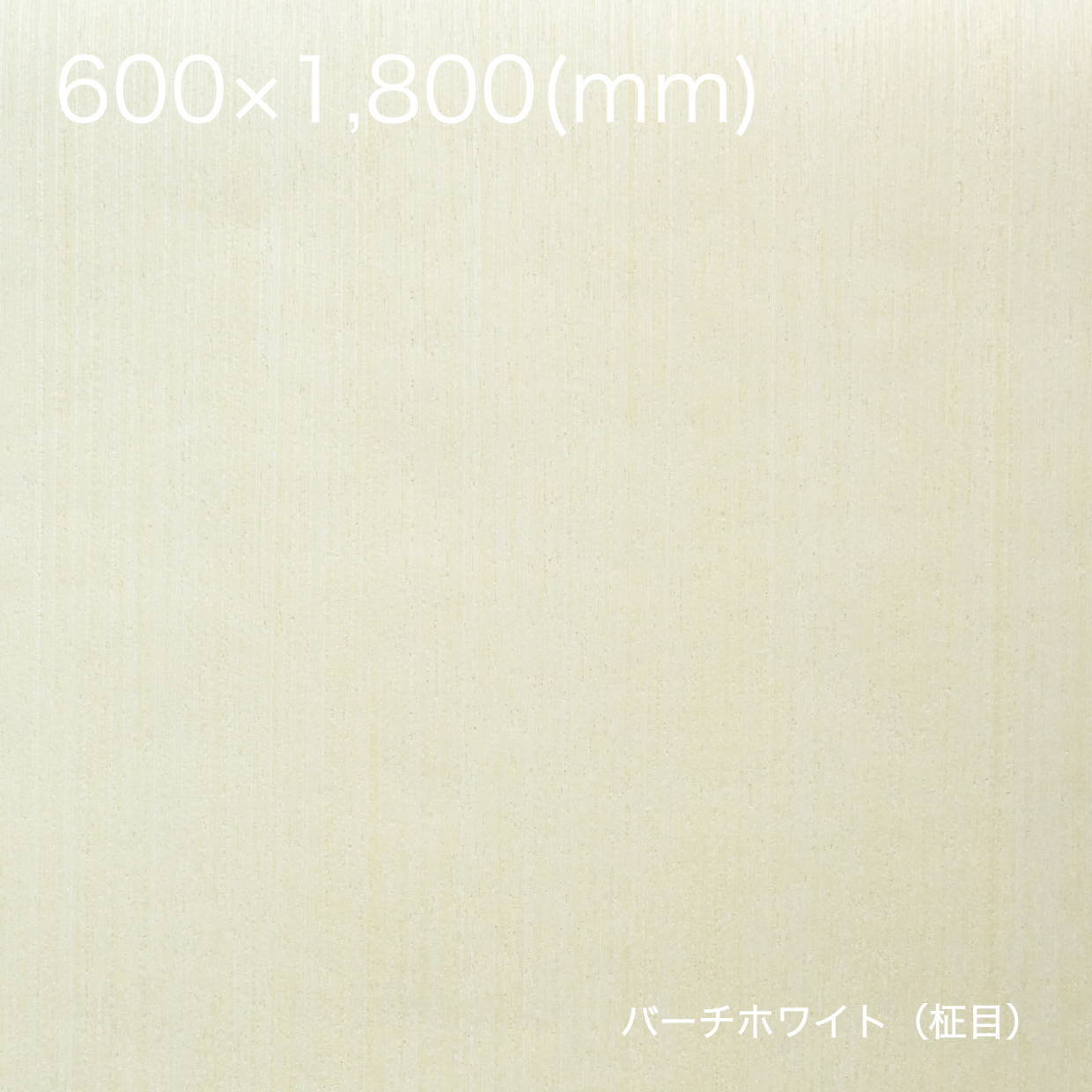天然木の粘着シート【全景】600×1800_バーチホワイト（柾目）
