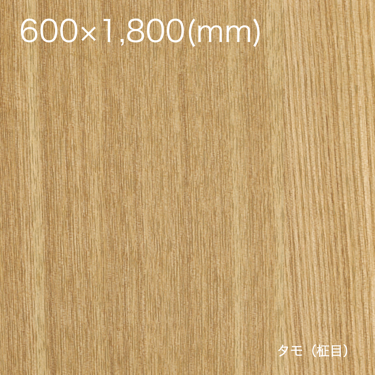 天然木の粘着シート【全景】600×1800_タモ（柾目）