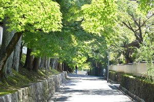 東福寺